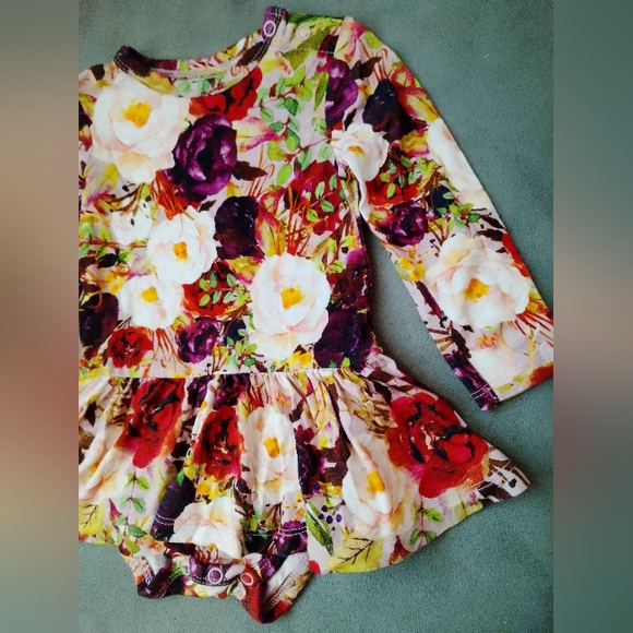 Posh Peanut 3-6 Months Floral Rose Twirl Skirt Infant Bodysuit Dress Long Sleeve - Picture 5 of 10